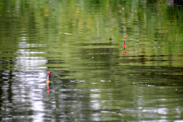 Killikus® Fotographie Killikus® Fotographie